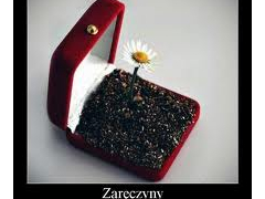 Dobre Wieści Dobre Wieści